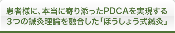 患者様に、本当に寄り添ったPDCAを実現する３つの鍼灸理論を融合した「ほうしょう式鍼灸」